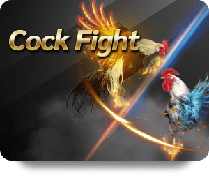 เล่นเกมคาสิโนสดที่ Sagame เว็บหลัก ได้ทุกที่ทุกเวลา